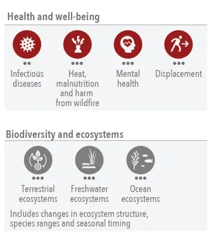 Health and well-being impacts; biodiversity and ecosystems impacts